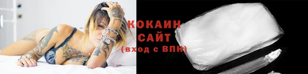 apvp Лиски