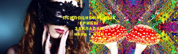 2c-b Липки