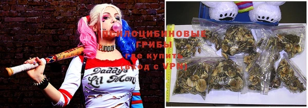 2c-b Липки