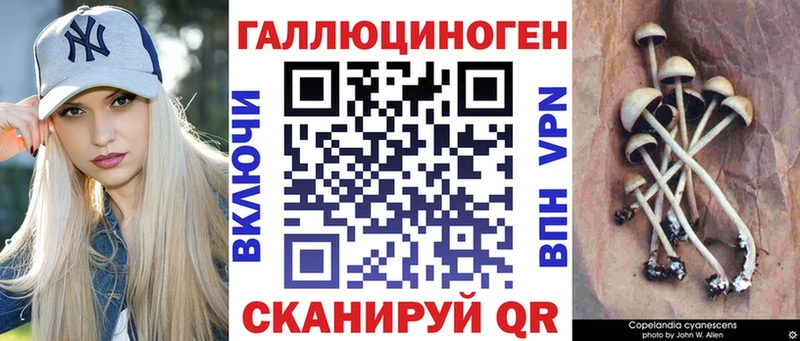 Купить где  Ступино  Псилоцибиновые грибы Magic Shrooms 