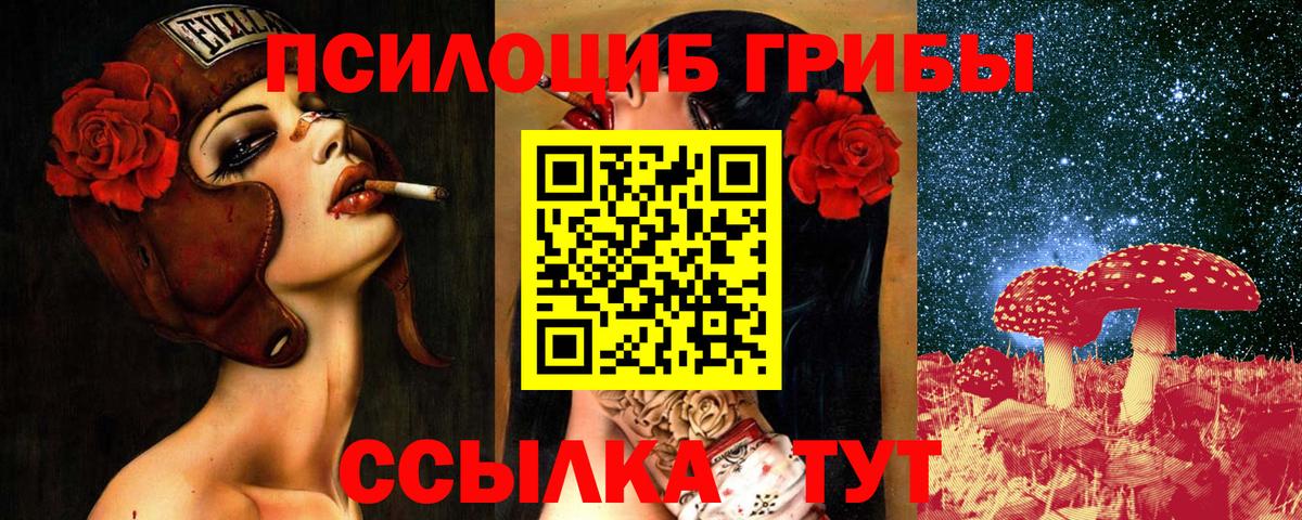 как найти наркотики  Вход с VPN  Ступино  Псилоцибиновые грибы мицелий 
