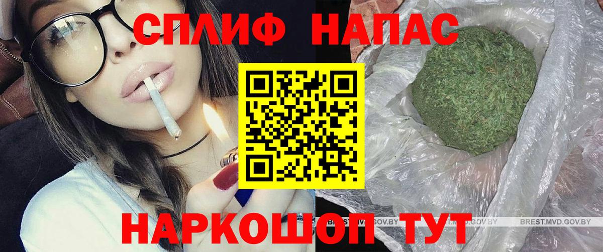 Бошки марихуана конопля Ступино
